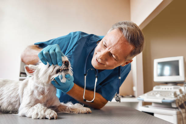 Best Emergency Tooth Extraction in Rockmart, GA
